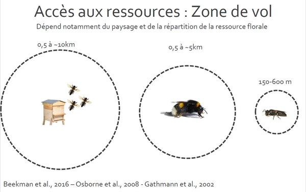 zone de vol
